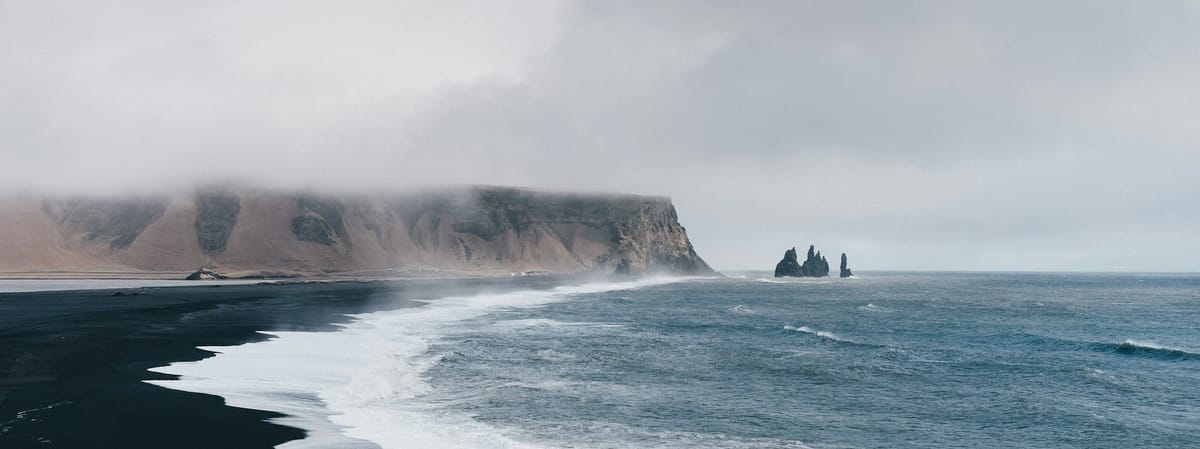 Two Languages and a Bird: Basque Icelandic Pidgin