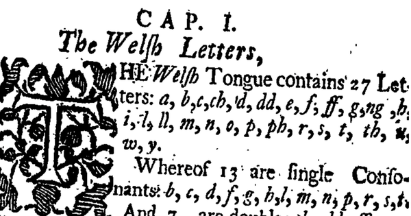 The Survival Story of the Welsh Language